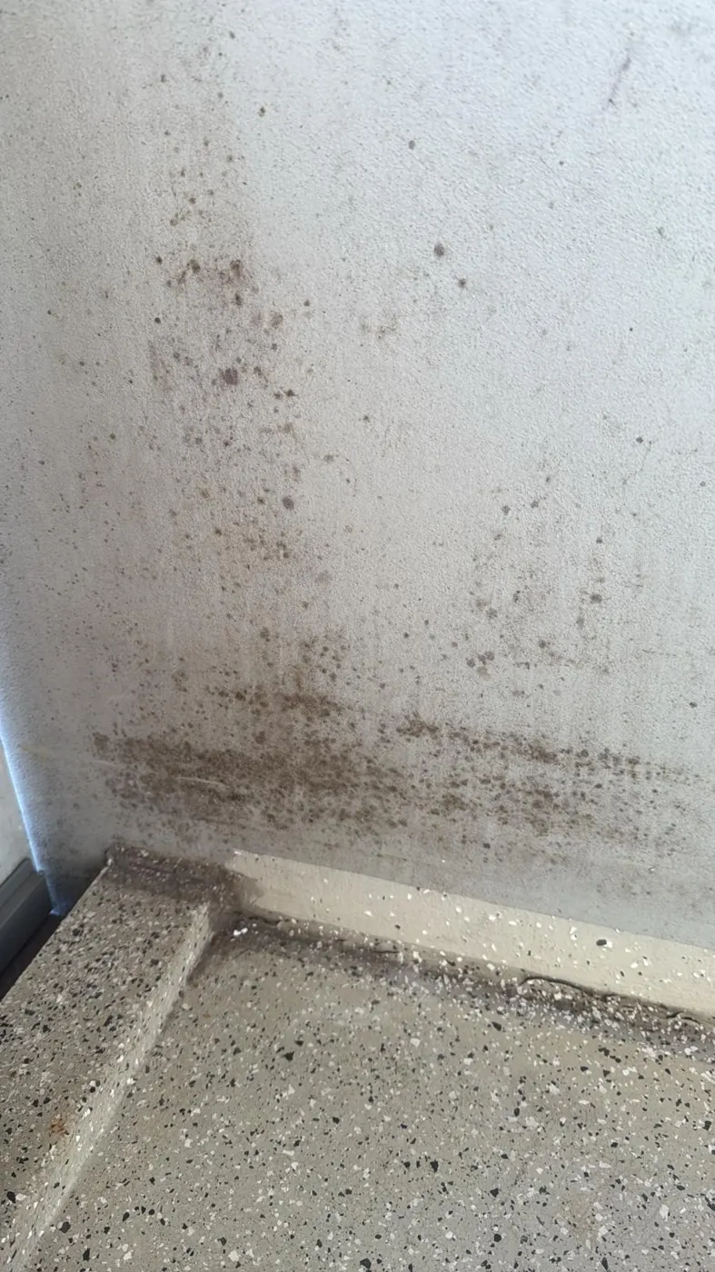Beginnender Schimmel an der Wand eines Balkons im Berliner Plattenbau