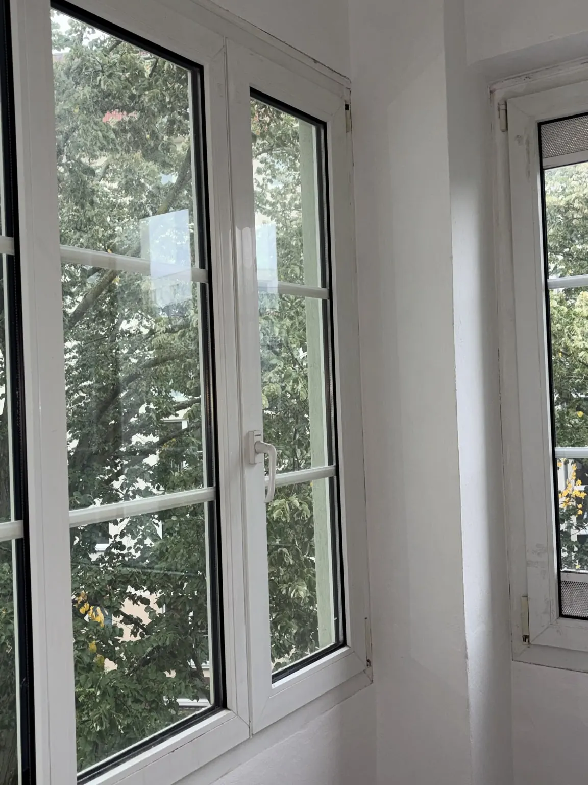 Loggia in Berlin nach der Schimmelsanierung