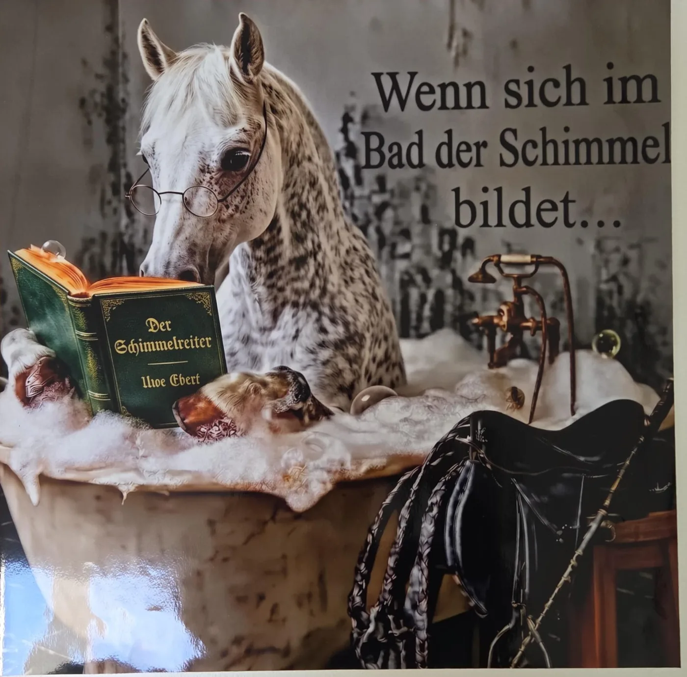 Motiv vom Firmenwagen: ein Schimmel liest in der Badewanne „Der Schimmelreiter“