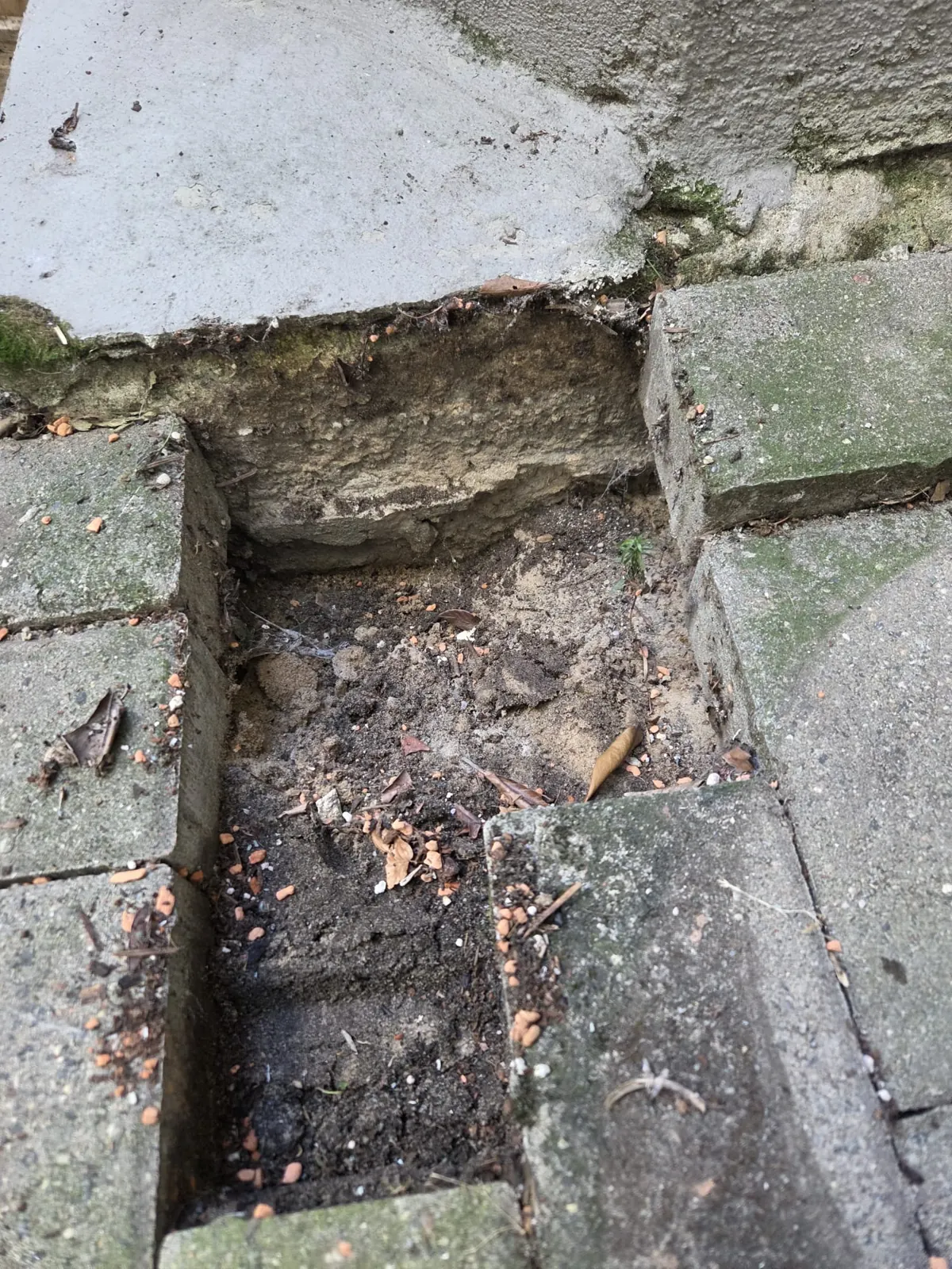 Aufgenommene Terrassenplatten, darunter ausgespülter Unterbau