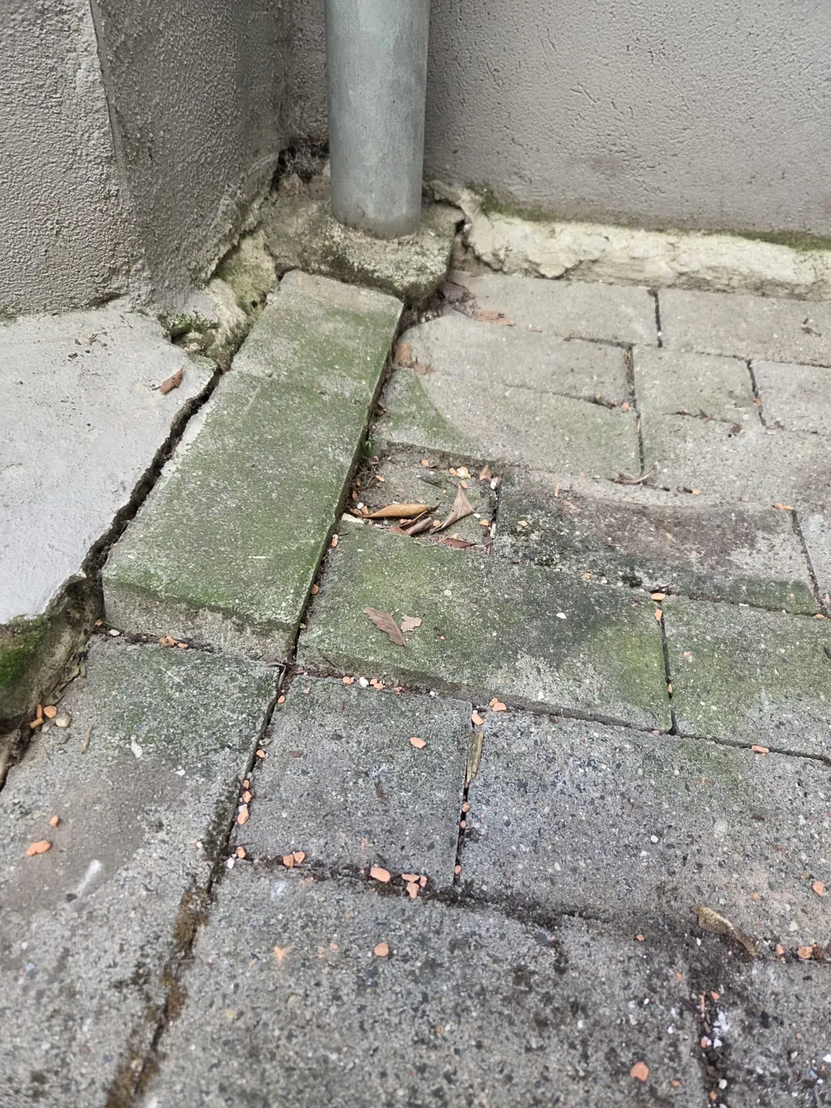 Gebrochene und abgesackte Terrassenplatten neben dem Fallrohr